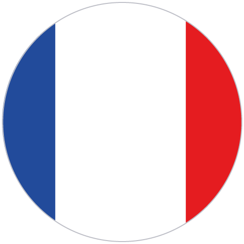 français (France)